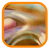 Plants: image 11 0f 12 thumb